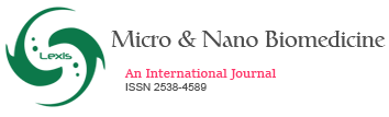 Micro_and_nano